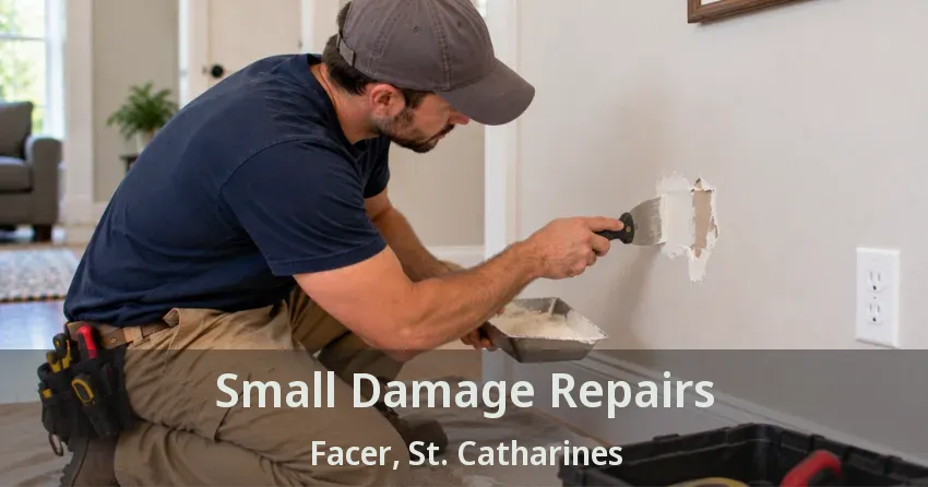Small Damage Repairs Facer, St. Catharines - ON