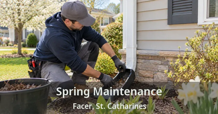 Spring Maintenance Facer, St. Catharines - ON